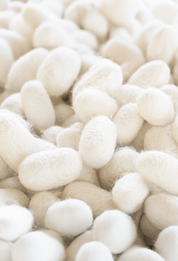 Abrisham Bachi da Seta - immagine 2